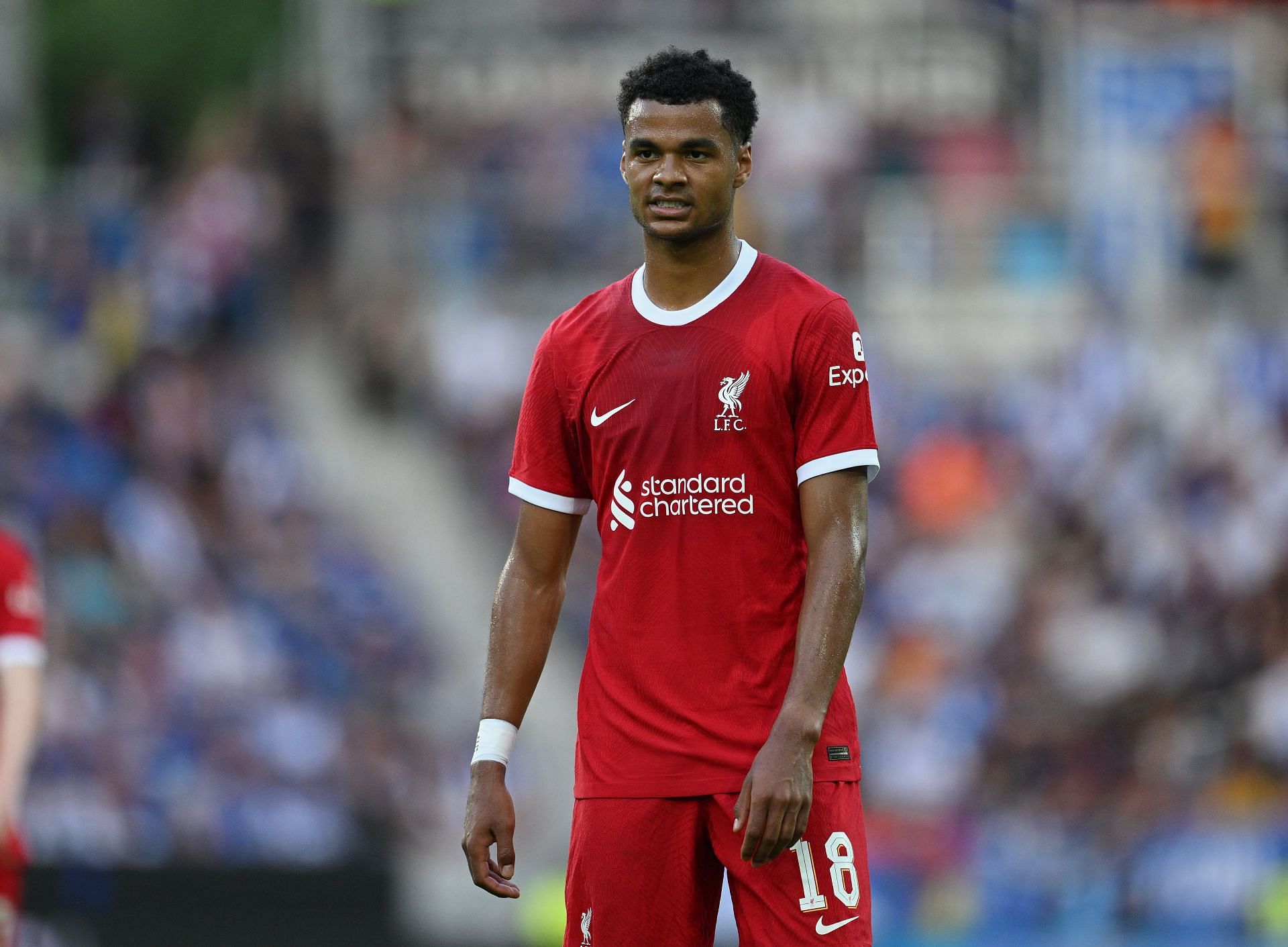 Gakpo's versatility has been useful to Jurgen Klopp.